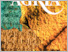 [img]